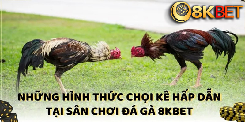 Nạp Tiền 8kbet - Đa Dạng Phương Thức Giao Dịch