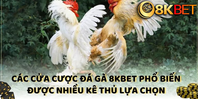 Thực Hiện Giao Dịch Nạp Tiền